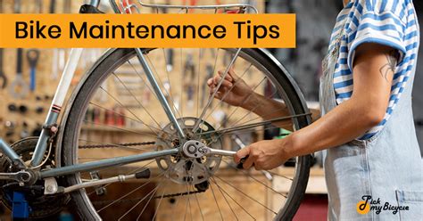 Bicycle maintenance basics