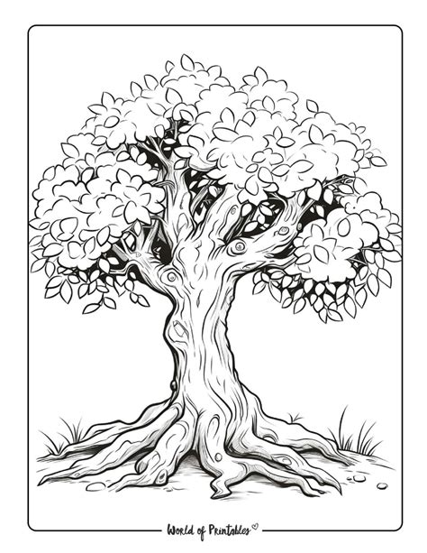 Coloring pages trees