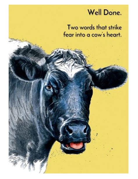 Cow greeting cards