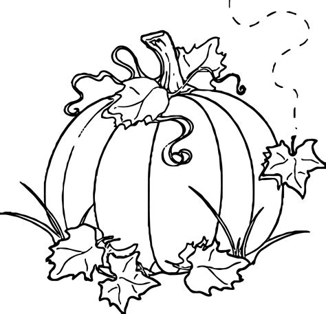 Pumpkin coloring page for autumn