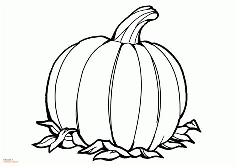 Pumpkin coloring page for Thanksgiving